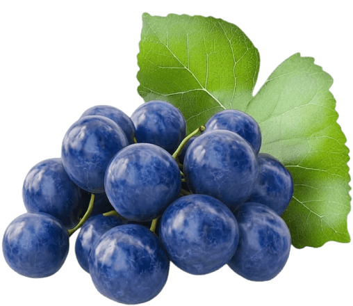 Ingredient Element