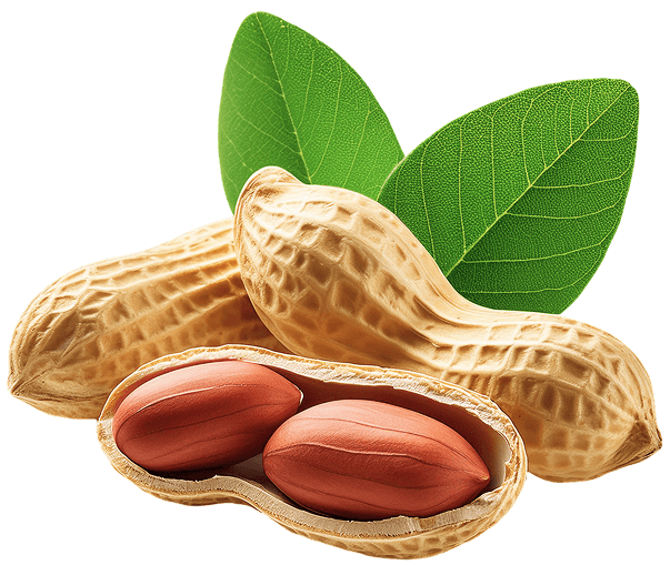 Ingredient Element